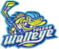 do embroidery digitizing logo, patch, design, embroidery digitizing into dst pes