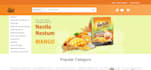 develop and customize magento websites