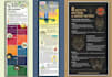 design an engaging infographic