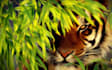 convert your picture into a digital oil painting effect