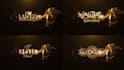 do custom luxury logo animation intro