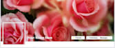 create a unique Facebook Cover in 24hrs