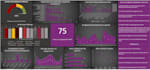 create excel dashboards, pivots charts and data filtering