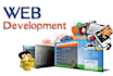 develop custom web application