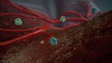 do high quality 3d medical animation