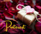 set up and manage your dreamed pinterest account