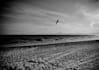 process your photos into awesome Black and White
