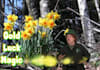 be your magical Leprechaun on video