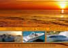 create a Header image, Banner ad or Facebook Cover Photo from a couple minutes to just a few hours
