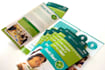 design leaflets and brochure