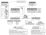 make a summarized memorable mind map or  flowchart