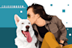 make vector illustration dog cat animal pet cartoon portrait