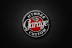 design professional brand logo for you