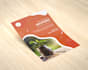 create professional flyer, brochure and invitation