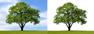 remove image  background professionally