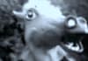 make a funny Mr Ed video message