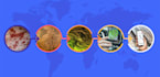 historical to present day map transformation