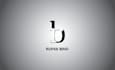 design a stunning and awesome logo