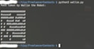 fix bugs or build automation scripts
