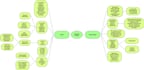 do professional thematic and qualitative analysis in nvivo