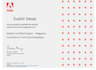 fix your magento issues