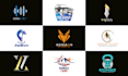 create a professional business logo design