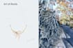 design your dream jewelry