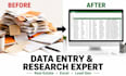 do excel  data entry, web research, lead generation, excel data cleaning