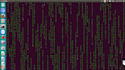 do anything ubuntu linux