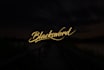 design mind blowing signature logo