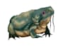 draw monster and creatures