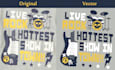 professionally vector trace, redraw, or vectorize your logo and images