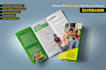 design a professional brochure, booklet for you business