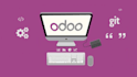 do your erp, crm odoo development