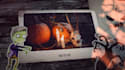 create an eye catching slideshow video for the halloween party