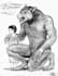 draw furries, anthropozoic characters and fantastic creatures