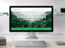 build a high converting wordpress website for your business