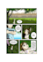draw comic book illustrations in manga or cartoon style