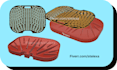 do 3d printing design and repair stl, obj and 3mf files