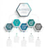 design professional infographics, flowcharts, pie charts and many more