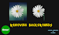 remove any backgrounds perfectly