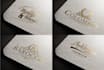 design professional logo until your satisfaction