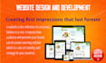 create a responsive and professional website