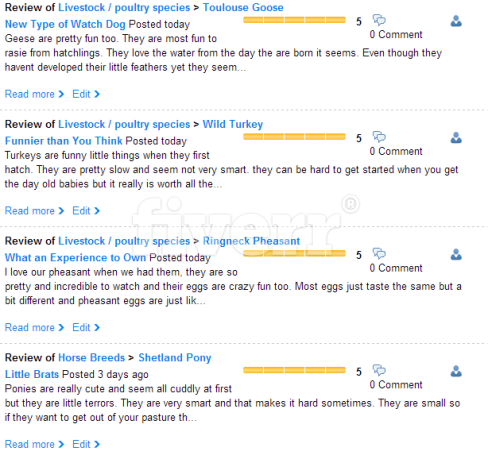 fiverr reviews