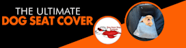 banner-ads_ws_1495094044