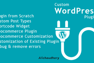 I will develop custom wordpress plugin from scratch