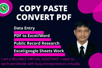 I will copy paste and data entry according to your requirements
