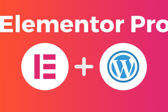 I will design or revamp elementor website using elementor pro