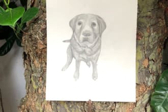 I will create fine art by watercolors and charcoal, virtual staging