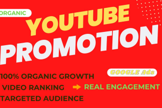 I will do organic youtube video promotion